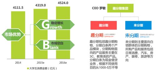 分期電商市場深度調研 現狀、機遇與挑戰